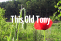 This Old Tony