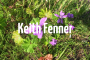 Keith Fenner