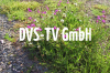 DVS-TV GmbH