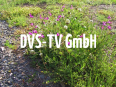 DVS-TV GmbH