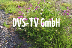 DVS-TV GmbH