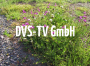 DVS-TV GmbH