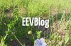 EEVblog