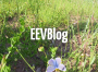 EEVblog