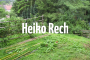 Heiko Rech