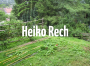 Heiko Rech