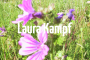 Laura Kampf