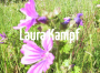 Laura Kampf