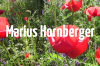 Marius Hornberger