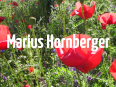 Marius Hornberger
