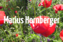 Marius Hornberger
