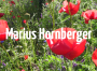 Marius Hornberger