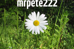 mrpete222