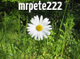 mrpete222