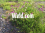 Weld.com