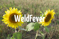 WeldFever