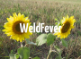 WeldFever