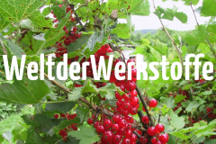 Welt der Werkstoffe