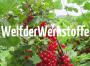 Welt der Werkstoffe
